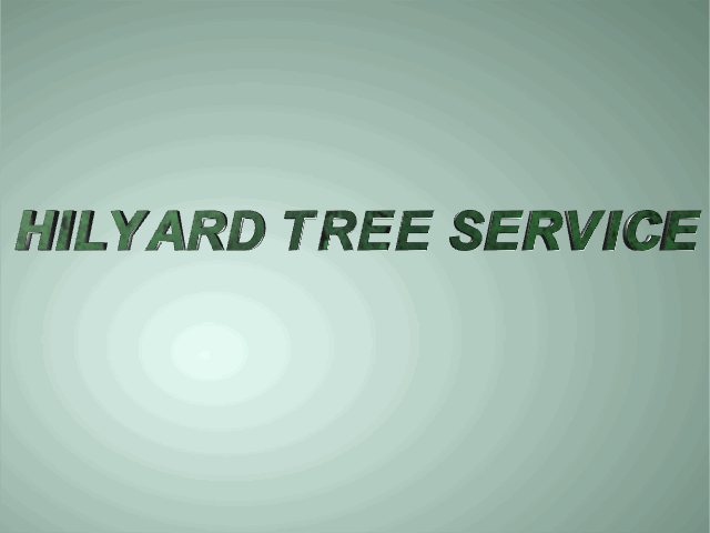 hilyard tee service contact page