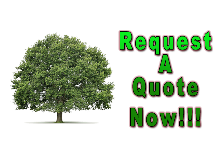 Hilyard tree service contact button, Please click Here to get information about tree Care services